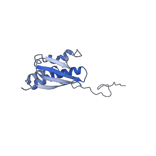 25538_7syr_R_v1-1
Structure of the wt IRES eIF2-containing 48S initiation complex, closed conformation. Structure 12(wt).