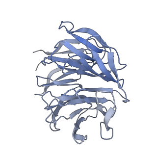 25538_7syr_h_v1-1
Structure of the wt IRES eIF2-containing 48S initiation complex, closed conformation. Structure 12(wt).
