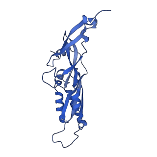 25539_7sys_C_v1-1
Structure of the delta dII IRES eIF2-containing 48S initiation complex, closed conformation. Structure 12(delta dII).