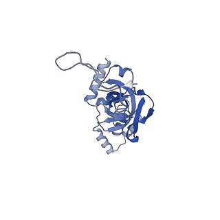 25539_7sys_J_v1-1
Structure of the delta dII IRES eIF2-containing 48S initiation complex, closed conformation. Structure 12(delta dII).