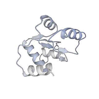25539_7sys_N_v1-1
Structure of the delta dII IRES eIF2-containing 48S initiation complex, closed conformation. Structure 12(delta dII).