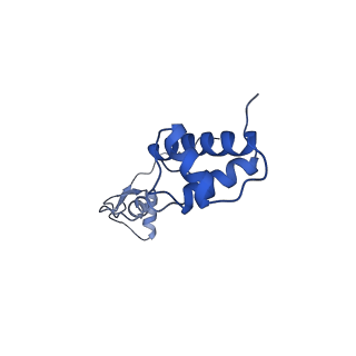 25539_7sys_S_v1-1
Structure of the delta dII IRES eIF2-containing 48S initiation complex, closed conformation. Structure 12(delta dII).