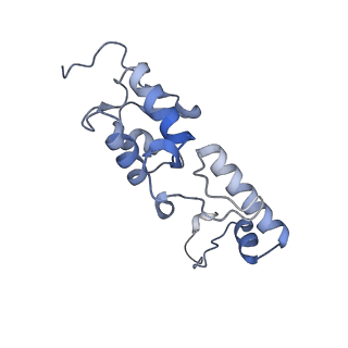25539_7sys_T_v1-1
Structure of the delta dII IRES eIF2-containing 48S initiation complex, closed conformation. Structure 12(delta dII).