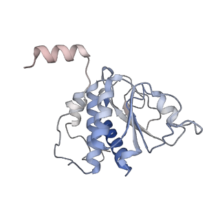 25540_7syt_B_v1-1
Structure of the wt IRES w/o eIF2 48S initiation complex, closed conformation. Structure 13(wt)
