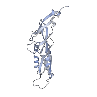 25540_7syt_C_v1-1
Structure of the wt IRES w/o eIF2 48S initiation complex, closed conformation. Structure 13(wt)