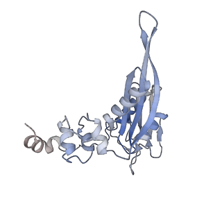 25540_7syt_D_v1-1
Structure of the wt IRES w/o eIF2 48S initiation complex, closed conformation. Structure 13(wt)