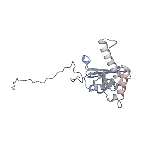 25540_7syt_E_v1-1
Structure of the wt IRES w/o eIF2 48S initiation complex, closed conformation. Structure 13(wt)