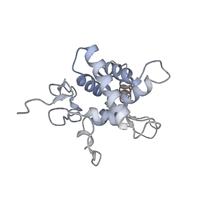 25540_7syt_G_v1-1
Structure of the wt IRES w/o eIF2 48S initiation complex, closed conformation. Structure 13(wt)