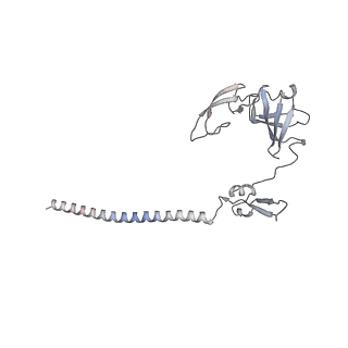 25540_7syt_H_v1-1
Structure of the wt IRES w/o eIF2 48S initiation complex, closed conformation. Structure 13(wt)