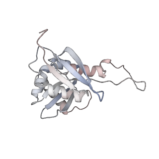25540_7syt_I_v1-1
Structure of the wt IRES w/o eIF2 48S initiation complex, closed conformation. Structure 13(wt)