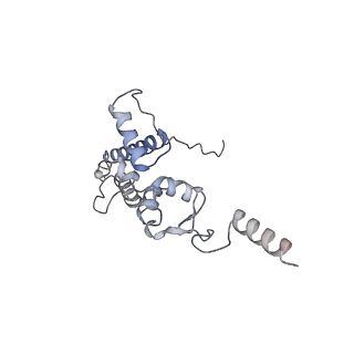 25540_7syt_K_v1-1
Structure of the wt IRES w/o eIF2 48S initiation complex, closed conformation. Structure 13(wt)