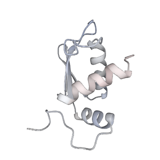 25540_7syt_L_v1-1
Structure of the wt IRES w/o eIF2 48S initiation complex, closed conformation. Structure 13(wt)