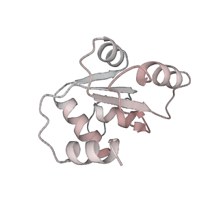 25540_7syt_N_v1-1
Structure of the wt IRES w/o eIF2 48S initiation complex, closed conformation. Structure 13(wt)
