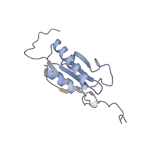 25540_7syt_P_v1-1
Structure of the wt IRES w/o eIF2 48S initiation complex, closed conformation. Structure 13(wt)