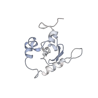 25540_7syt_Q_v1-1
Structure of the wt IRES w/o eIF2 48S initiation complex, closed conformation. Structure 13(wt)