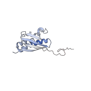 25540_7syt_R_v1-1
Structure of the wt IRES w/o eIF2 48S initiation complex, closed conformation. Structure 13(wt)