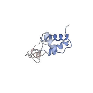 25540_7syt_S_v1-1
Structure of the wt IRES w/o eIF2 48S initiation complex, closed conformation. Structure 13(wt)