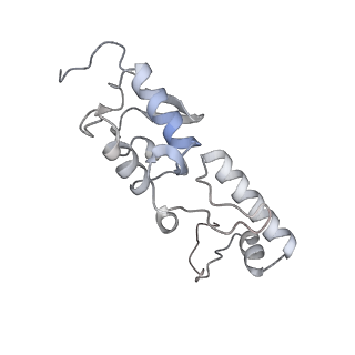 25540_7syt_T_v1-1
Structure of the wt IRES w/o eIF2 48S initiation complex, closed conformation. Structure 13(wt)