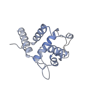 25540_7syt_U_v1-1
Structure of the wt IRES w/o eIF2 48S initiation complex, closed conformation. Structure 13(wt)