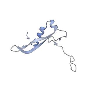 25540_7syt_W_v1-1
Structure of the wt IRES w/o eIF2 48S initiation complex, closed conformation. Structure 13(wt)