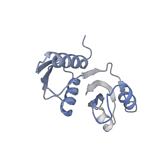 25540_7syt_X_v1-1
Structure of the wt IRES w/o eIF2 48S initiation complex, closed conformation. Structure 13(wt)