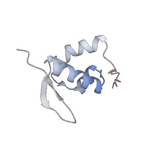 25540_7syt_a_v1-1
Structure of the wt IRES w/o eIF2 48S initiation complex, closed conformation. Structure 13(wt)