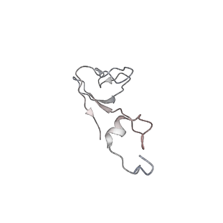 25540_7syt_c_v1-1
Structure of the wt IRES w/o eIF2 48S initiation complex, closed conformation. Structure 13(wt)