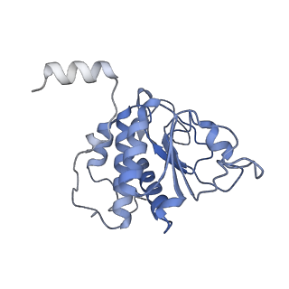 25541_7syu_B_v1-1
Structure of the delta dII IRES w/o eIF2 48S initiation complex, closed conformation. Structure 13(delta dII)