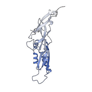 25541_7syu_C_v1-1
Structure of the delta dII IRES w/o eIF2 48S initiation complex, closed conformation. Structure 13(delta dII)