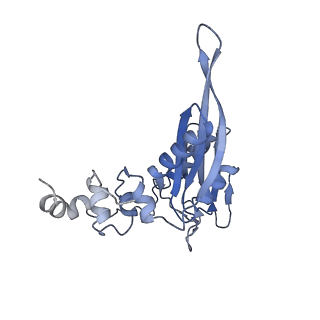 25541_7syu_D_v1-1
Structure of the delta dII IRES w/o eIF2 48S initiation complex, closed conformation. Structure 13(delta dII)