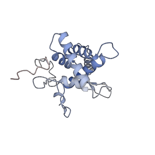 25541_7syu_G_v1-1
Structure of the delta dII IRES w/o eIF2 48S initiation complex, closed conformation. Structure 13(delta dII)