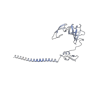 25541_7syu_H_v1-1
Structure of the delta dII IRES w/o eIF2 48S initiation complex, closed conformation. Structure 13(delta dII)