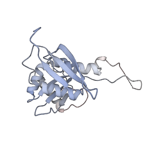 25541_7syu_I_v1-1
Structure of the delta dII IRES w/o eIF2 48S initiation complex, closed conformation. Structure 13(delta dII)