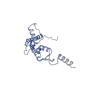 25541_7syu_K_v1-1
Structure of the delta dII IRES w/o eIF2 48S initiation complex, closed conformation. Structure 13(delta dII)