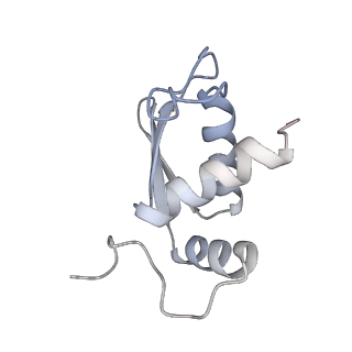 25541_7syu_L_v1-1
Structure of the delta dII IRES w/o eIF2 48S initiation complex, closed conformation. Structure 13(delta dII)