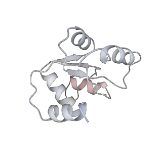 25541_7syu_N_v1-1
Structure of the delta dII IRES w/o eIF2 48S initiation complex, closed conformation. Structure 13(delta dII)