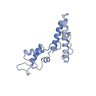 25541_7syu_O_v1-1
Structure of the delta dII IRES w/o eIF2 48S initiation complex, closed conformation. Structure 13(delta dII)