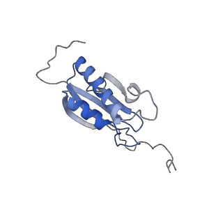 25541_7syu_P_v1-1
Structure of the delta dII IRES w/o eIF2 48S initiation complex, closed conformation. Structure 13(delta dII)