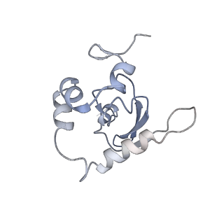 25541_7syu_Q_v1-1
Structure of the delta dII IRES w/o eIF2 48S initiation complex, closed conformation. Structure 13(delta dII)
