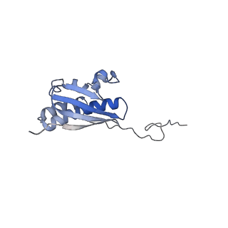 25541_7syu_R_v1-1
Structure of the delta dII IRES w/o eIF2 48S initiation complex, closed conformation. Structure 13(delta dII)