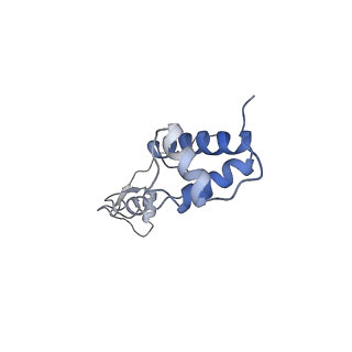 25541_7syu_S_v1-1
Structure of the delta dII IRES w/o eIF2 48S initiation complex, closed conformation. Structure 13(delta dII)