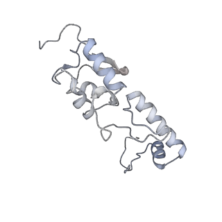 25541_7syu_T_v1-1
Structure of the delta dII IRES w/o eIF2 48S initiation complex, closed conformation. Structure 13(delta dII)