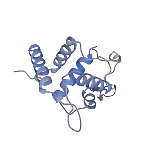 25541_7syu_U_v1-1
Structure of the delta dII IRES w/o eIF2 48S initiation complex, closed conformation. Structure 13(delta dII)