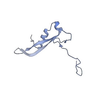 25541_7syu_W_v1-1
Structure of the delta dII IRES w/o eIF2 48S initiation complex, closed conformation. Structure 13(delta dII)