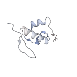 25541_7syu_a_v1-1
Structure of the delta dII IRES w/o eIF2 48S initiation complex, closed conformation. Structure 13(delta dII)