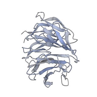 25541_7syu_h_v1-1
Structure of the delta dII IRES w/o eIF2 48S initiation complex, closed conformation. Structure 13(delta dII)