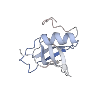 25542_7syv_A_v1-2
Structure of the wt IRES eIF5B-containing pre-48S initiation complex, open conformation. Structure 14(wt)
