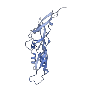25542_7syv_C_v1-2
Structure of the wt IRES eIF5B-containing pre-48S initiation complex, open conformation. Structure 14(wt)
