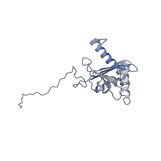 25542_7syv_E_v1-2
Structure of the wt IRES eIF5B-containing pre-48S initiation complex, open conformation. Structure 14(wt)