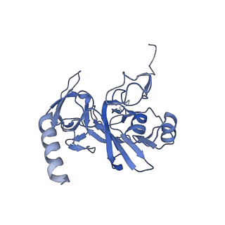 25542_7syv_F_v1-2
Structure of the wt IRES eIF5B-containing pre-48S initiation complex, open conformation. Structure 14(wt)